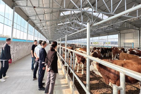 bat365线上平台赴通辽市三淼畜牧养殖有限公司开展访企拓岗活动